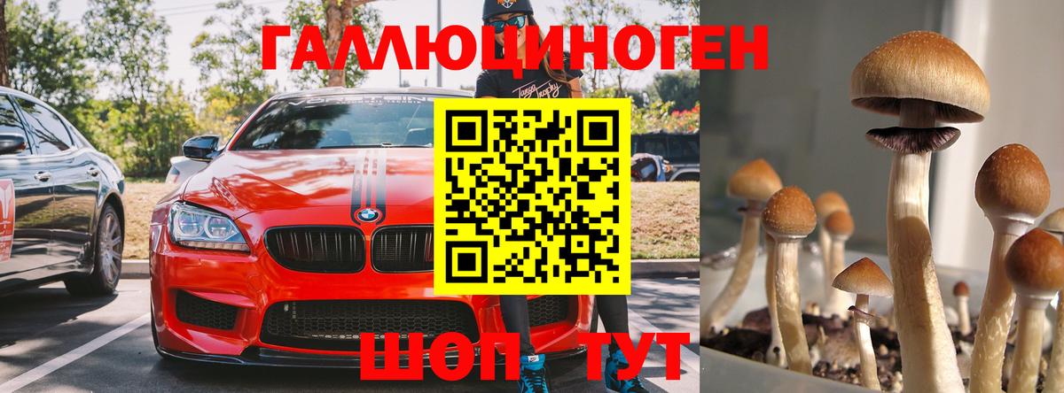 Псилоцибиновые грибы Psilocybe  Вход с VPN  Тамбов  Псилоцибиновые грибы ЛСД 